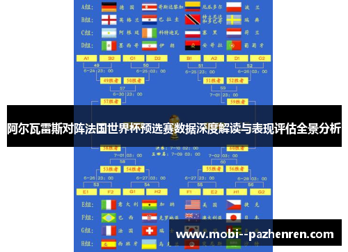 阿尔瓦雷斯对阵法国世界杯预选赛数据深度解读与表现评估全景分析 阿尔瓦雷斯对阵法国世界杯预选赛数据深度解读与表现评估全景分析