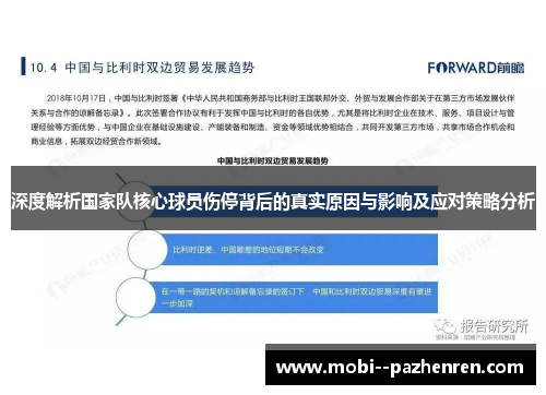 深度解析国家队核心球员伤停背后的真实原因与影响及应对策略分析